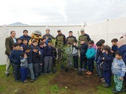 un turista un árbol fundación trekkingchile