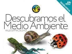 casachueca lodge chile